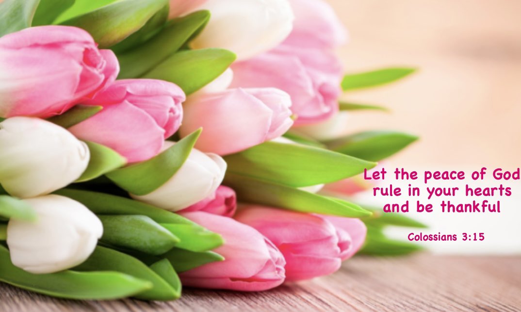 ”And let the peace of God rule in your hearts, to which also you were called in one body; and be thankful.“ Colossians 3:15