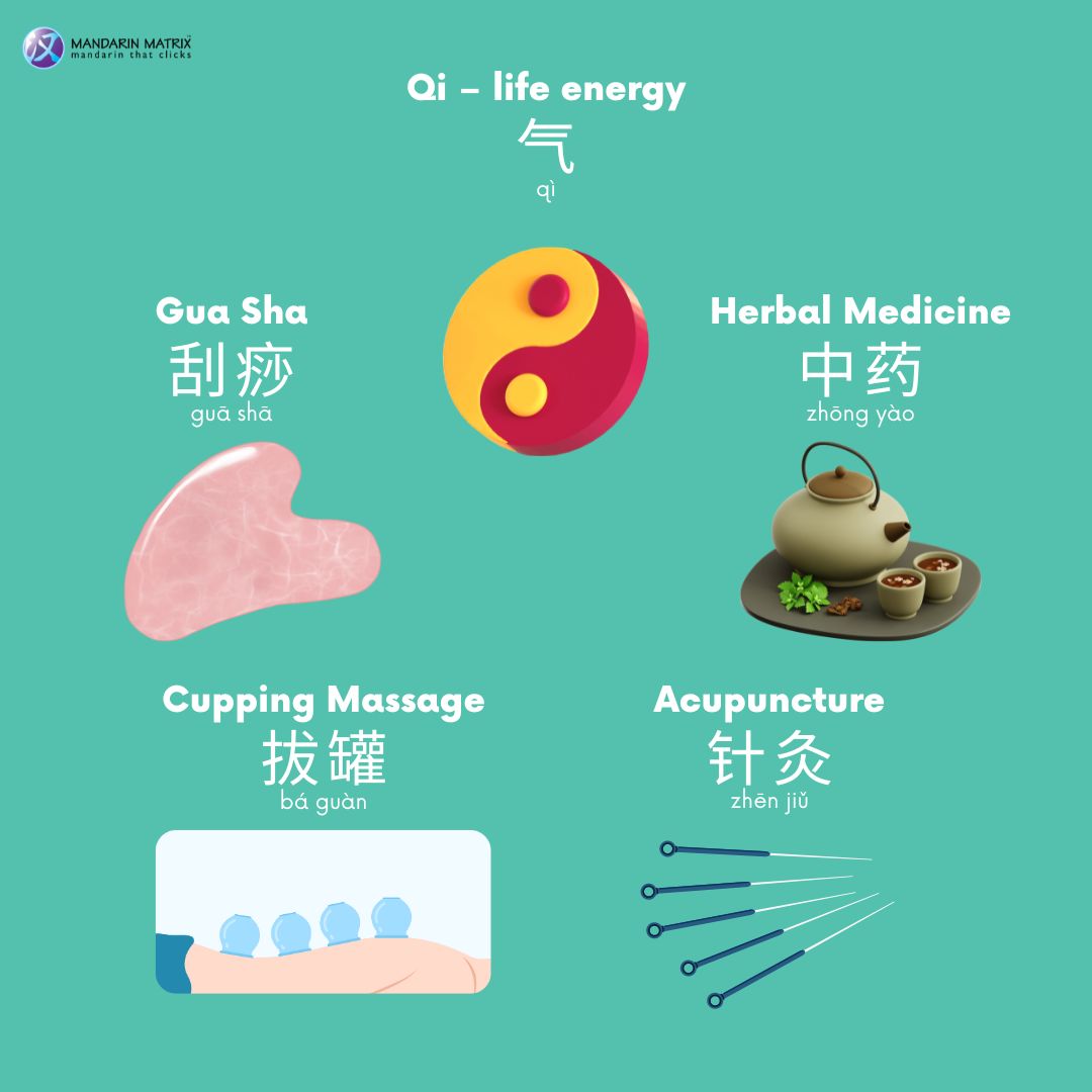 With roots dating back thousands of years, Traditional Chinese Medicine (TCM) embraces the harmony between mind, body, and nature, nurturing health from the inside out. 💚🌸 🌱 🙌 🌿💕 

#MandarinMatrix #WorldHealthDay #TraditionalChineseMedicine