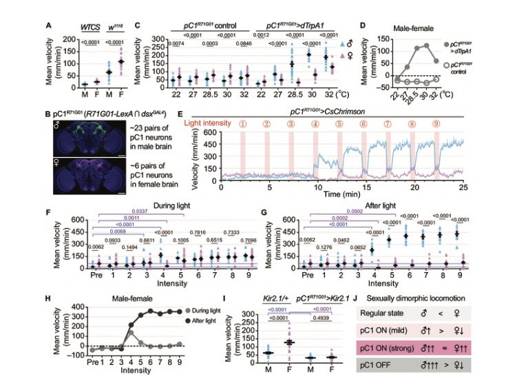 Sex-Specific and State-Dependent #Neuromodulation Regulates Male and Female Locomotion and Sexual Behaviors Click the link below to read this free, open access article doi.org/10.34133/resea…