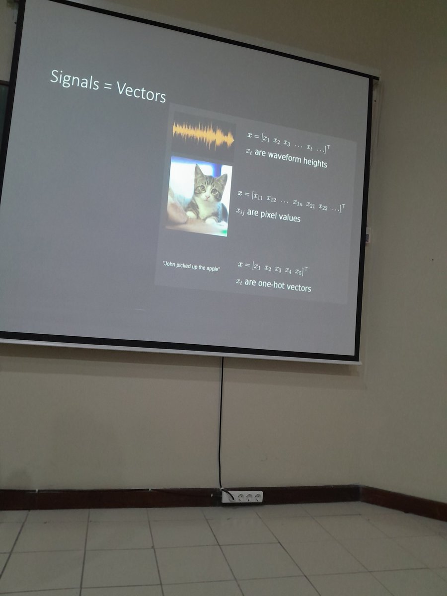 puyo🌼 tweet media