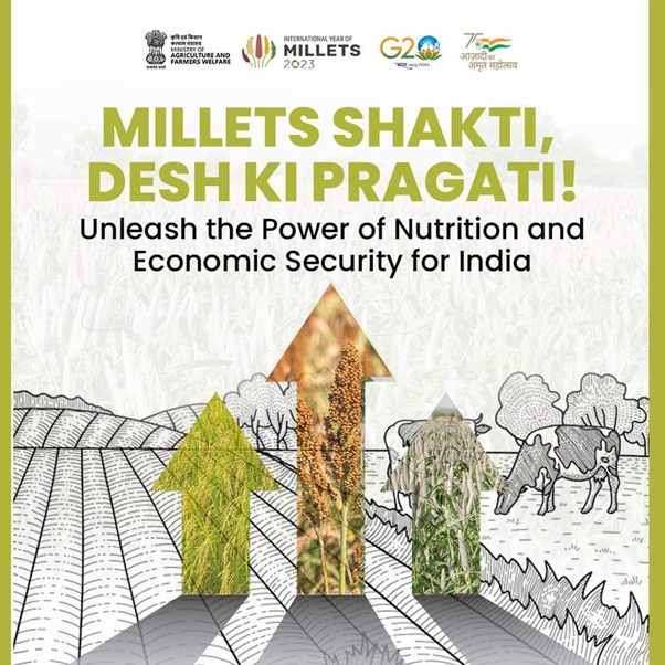 DRM_BVP's tweet photo. Millets Magic: Nutrient-packed grains that nourish the nation's health and prosperity. 
#IYM2023 #ShreeAnna #YearOfMillets https://t.co/FV3L6D7fSY