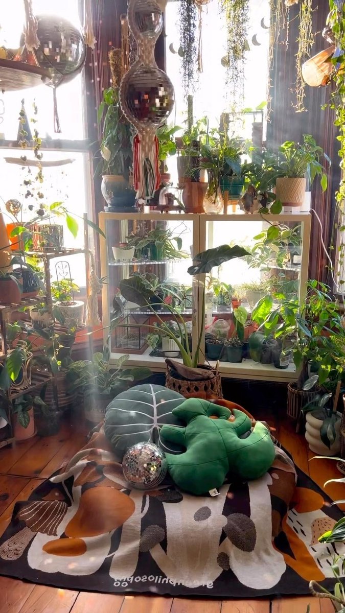 JoeCj6's tweet photo. Indoor trees can serve as focal points in your home, drawing attention and adding a sense of drama to any room. #focalpoint #dramaticeffect https://t.co/FCGOiXXDXT