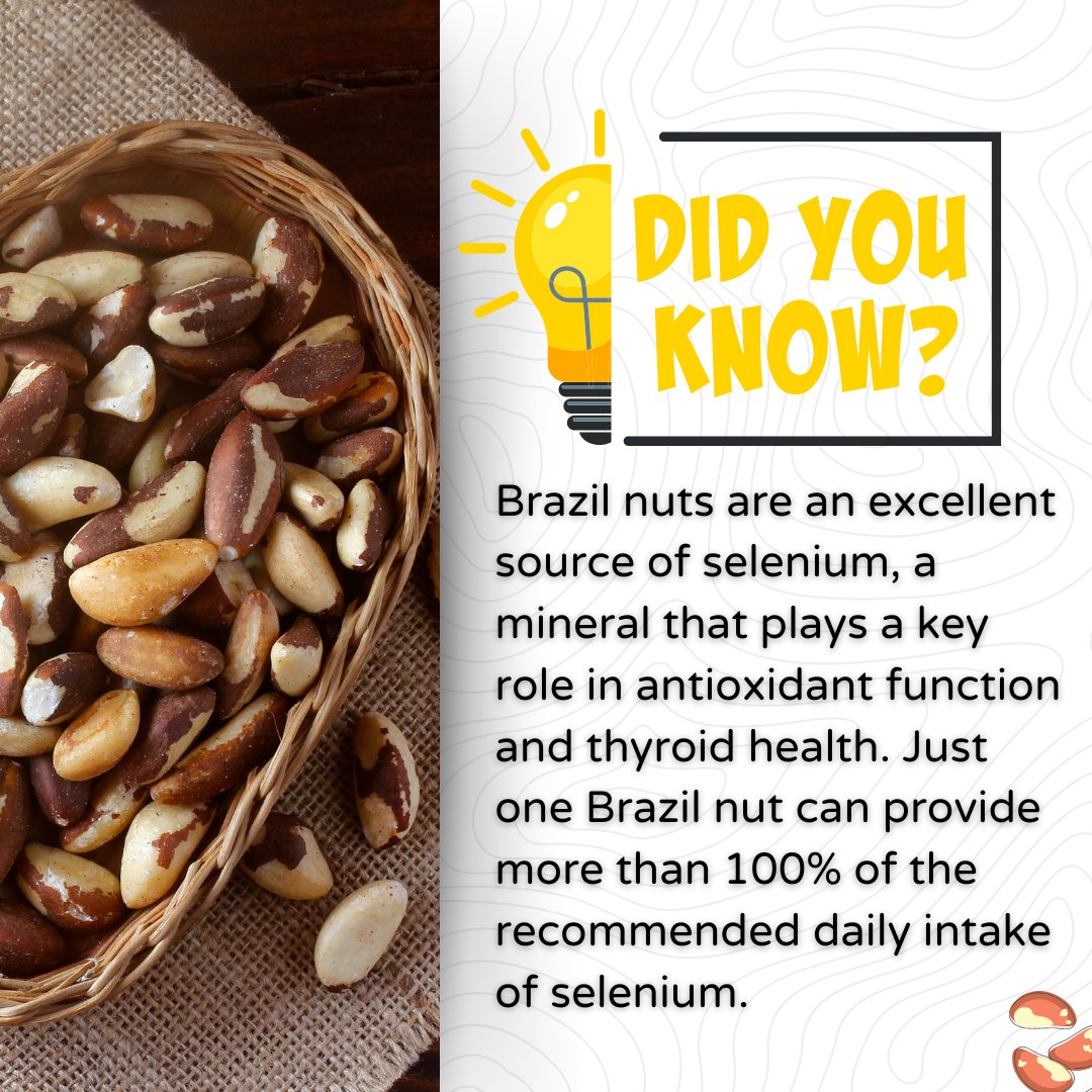 foodnutraindia's tweet image. Join the Brazil Nut Craze: Share your favorite Brazil nut recipes or how they've enhanced your well-being in the comments below! Let's nutrify together with FoodNutra! 📷📷
#FoodNutra #BrazilNuts #NutritionalExcellence #HealthyEating #NutritionFacts #WellnessJourney
