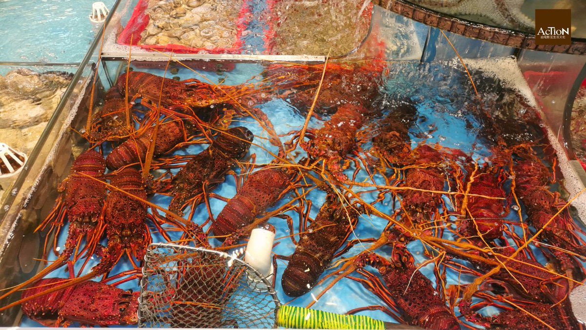 雨の日に鯉魚門へ行ってきました。

#鯉魚門 #LeiYueMun #海鮮 #seafood #seafoodrestaurant #香港 #hongkong #hongkongvillage #discoverhongkong #hkig #香港観光 #video #ビデオ #香港風景 #香港好きな人と繋がりたい #香港行きたい #海鮮市場 #seafoodmarket  #香港散歩  #香港旅行