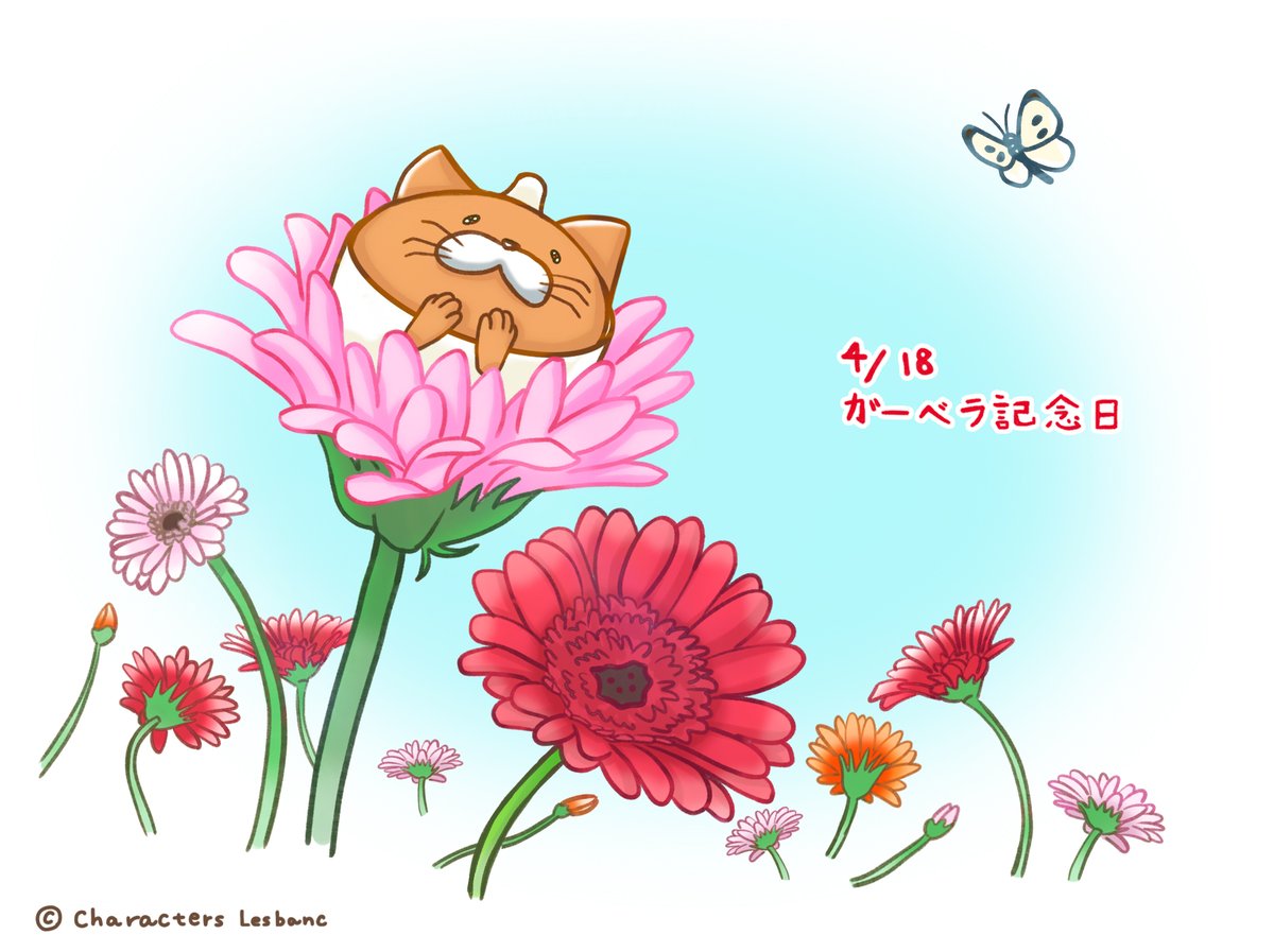 今日は4(よ)1(い)8(はな)なのである🌸 春なのである～♪ #今日は何の日 #ガーベラ記念日 #吾輩の一杯は猫である #猫
