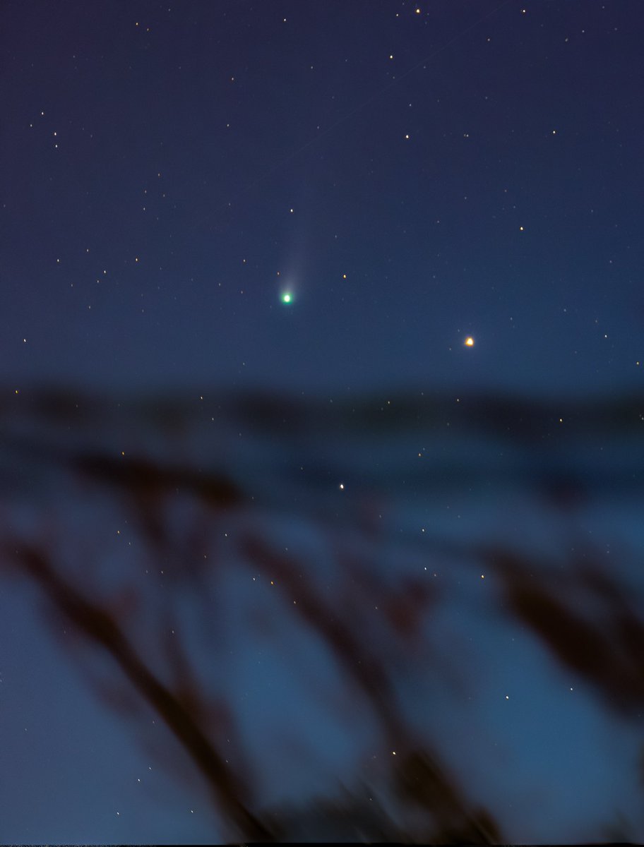 artofcygnus's tweet image. Comet 12p/pons-brooks 
Locations: Seattle, WA 

#comet #ponsbrooks #devilscomet #12pcomet #12pponsbrooks #Astrophotography