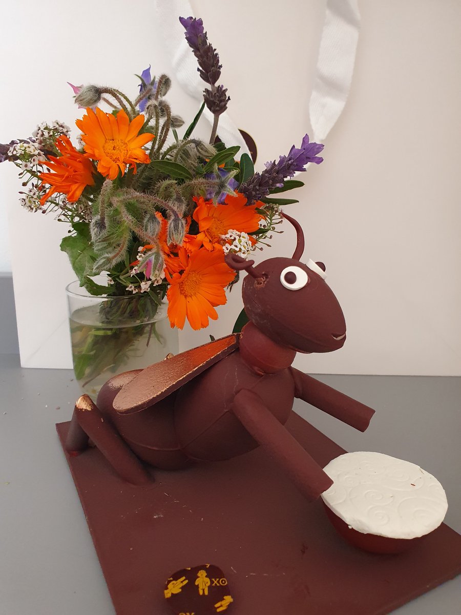 Our very cute (and highly delicious) chocolate Easter cicadas from a fabulous artisan chocolate maker in Nice.