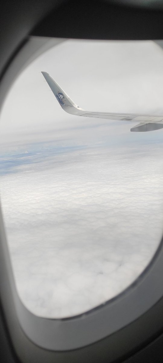 mougly_'s tweet photo. di atas awan https://t.co/lko6dSofTr