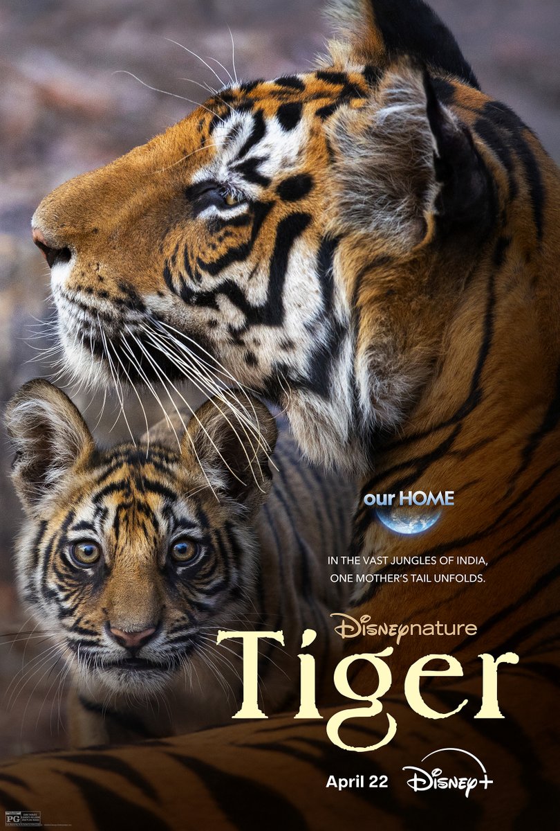 Check out this brand-new poster for Disneynature's #Tiger, coming to <a href="/DisneyPlus/">Disney+</a> this Earth Day, April 22. 🐅🌏