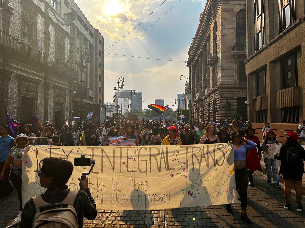 lleca_org's tweet photo. Marchamos por una #LeyIntegralTrans por mejores vidas para las personas trans. 🌸🏳️‍⚧️🌸🏳️‍⚧️
#DiaDeLaVisibilidadTrans https://t.co/XT525qjIdv