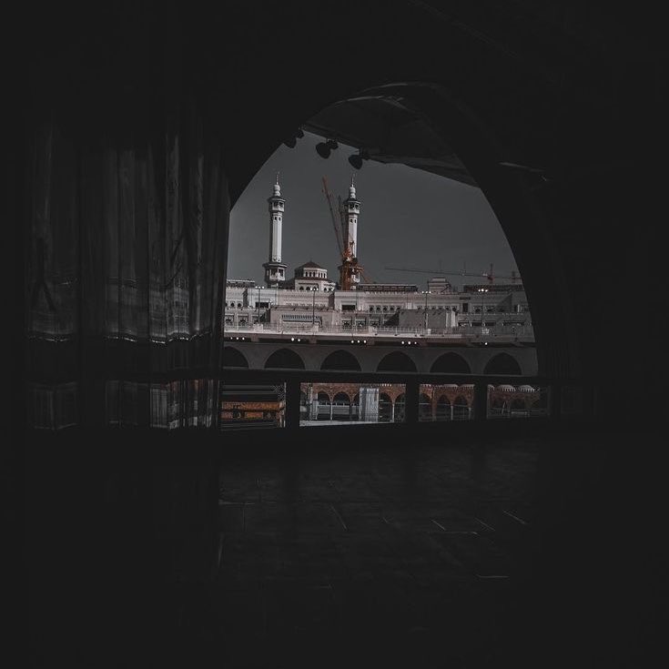 قَبَسٌ tweet media