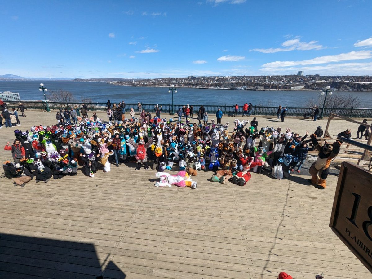 What a turnout for the Quebec Easter Meet on Saturday, holy shit! A beautiful day full of beautiful people! 🫶 It was one heck of a blast and I miss everyone so much already! 🥺 Full version over on @furtrack: furtrack.com/p/550021