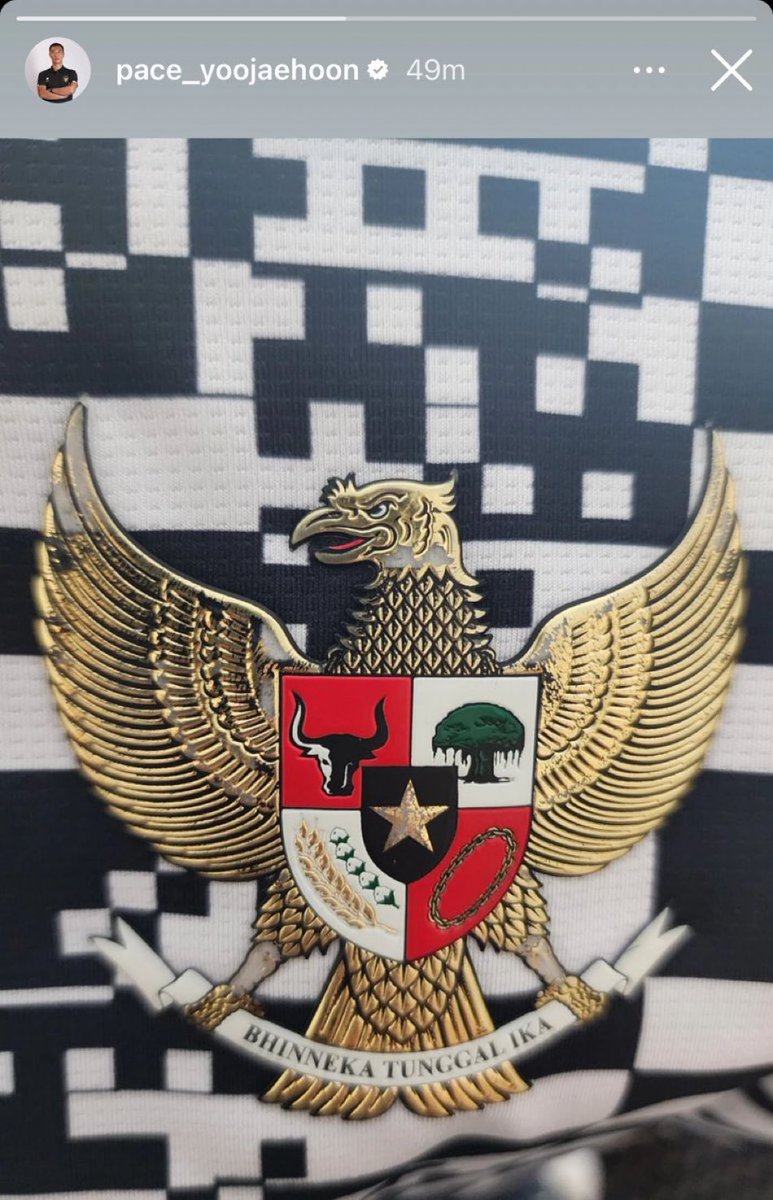 Sayap Garuda Jersey Timnas untuk pemain, pelatih dan staf mbrodol wulune 😅

Lambang Negara lho itu, ya Tuhan.