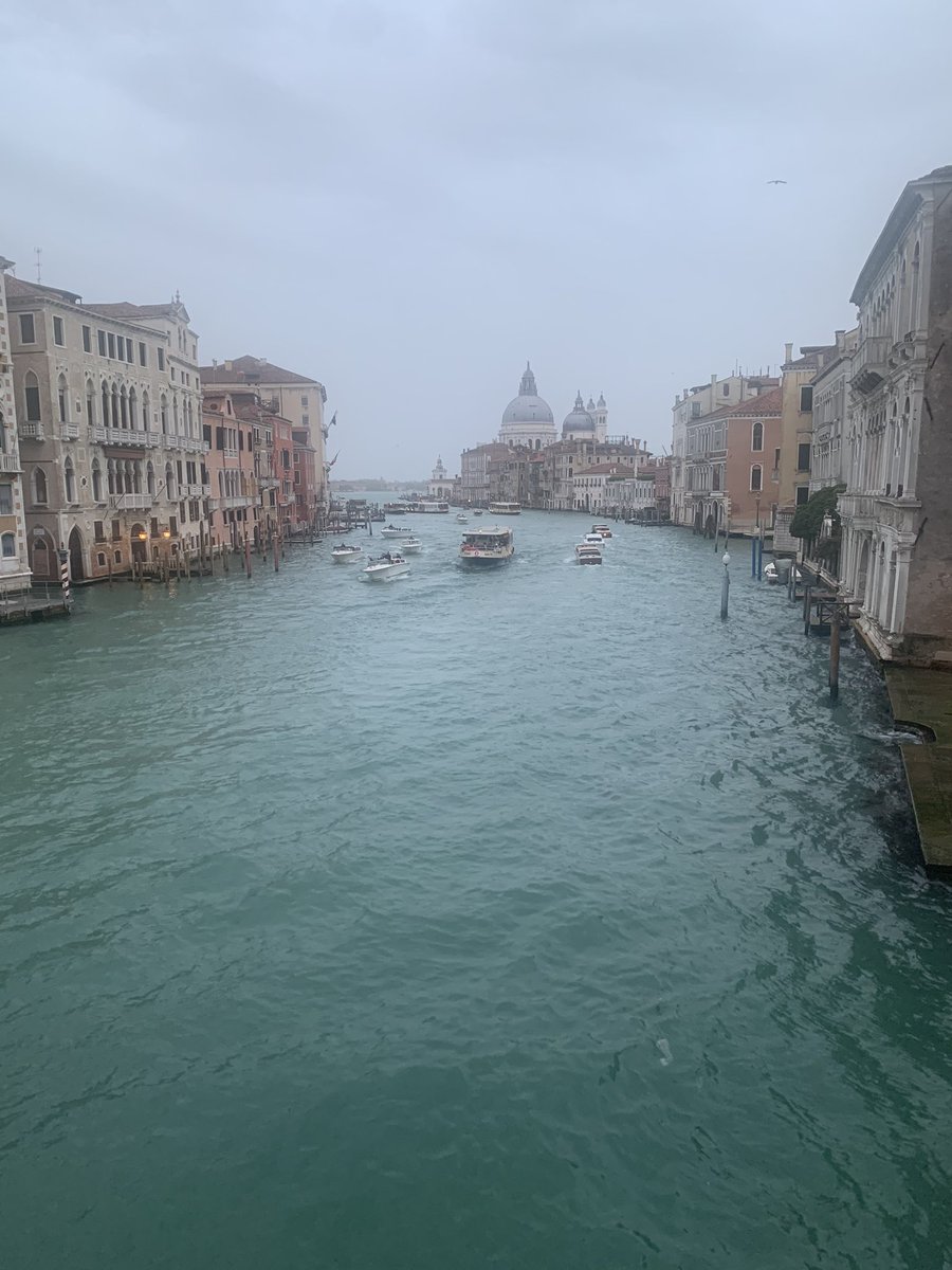 Kimberley WT tweet media