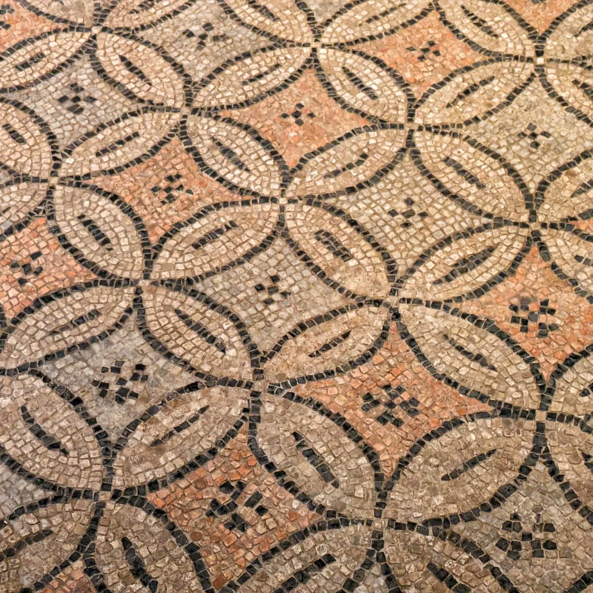 Buona Pasquetta da #Ravenna con i #mosaici della #Domus dei tappeti di pietra: nel grande salone dei ricevimenti, al centro c'è la raffigurazione musicale della #Danza dei Geni delle #Stagioni, in circolo, al suono di un musico (un unicum) 🤩
#visitravenna #visititaly