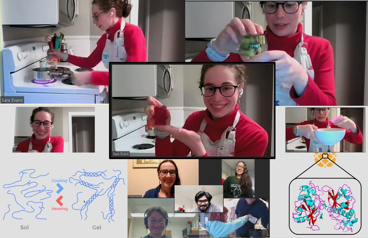 BSCtrainees's tweet photo. Insights from #biophysicsweek 

Theory behind jelly making and biomolecules behind it https://t.co/6CX3EyahAz
