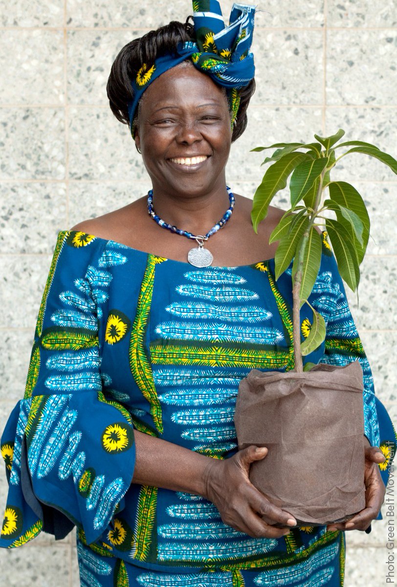 Wangari Maathai was the first female professor in Kenya and the first African woman to be awarded the #NobelPeacePrize. Born on this day, she was a committed environmentalist and founded the Green Belt Movement, which led to the planting of millions of trees.