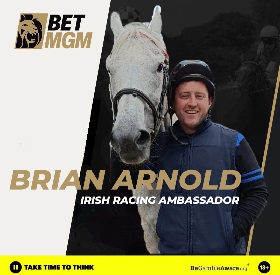 I am excited to announce that I'll be joining the @BetMGM stable as their new Irish Racing Ambassador 🇮🇪 Stay tuned for special offers, tips & lots of exclusive looks behind the scenes ascross the 26 Irish Racecourses as we bring the customer experience to the next level 🦁