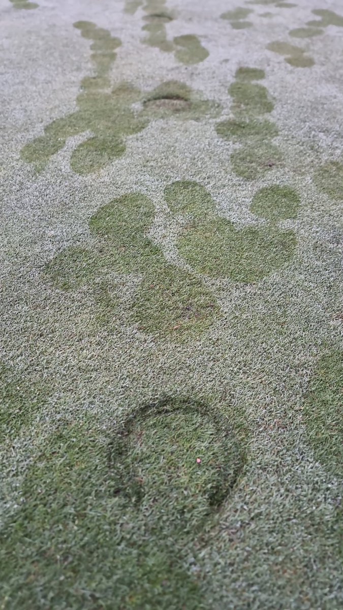 Charleton Greenkeepers tweet media