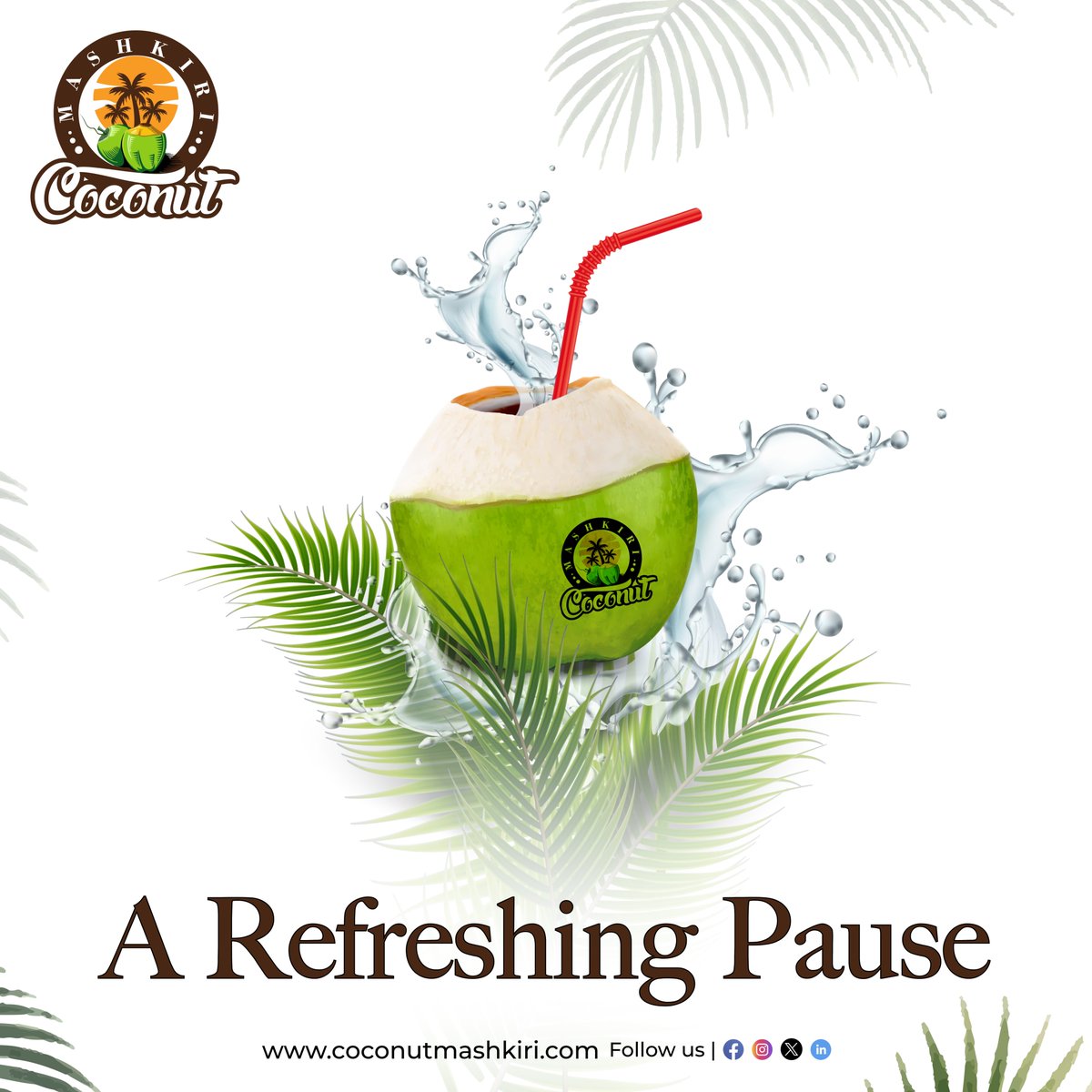 Take a refreshing pause with Coconut Mashkiri.

Our tender coconuts offer a blissful escape from the everyday hustle.

For more info
📞 Call: +91 84948 07691
🌐 Visit: coconutmashkiri.com
.
.
.
#tendercoconut #tendercoconutwater #tendercoconuts #coconutwater #coco #hydration