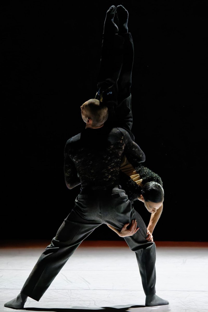 Tre creazioni del Centro Coreografico Nazionale / Aterballetto: domenica 7 aprile, ore 16, per la Stagione Danza del Teatro Municipale sono in arrivo "Alpha Grace" e "O" di Philippe Kratz, "Bliss" di Johan Inger.

Info e biglietti: teatripiacenza.it/event/storie/