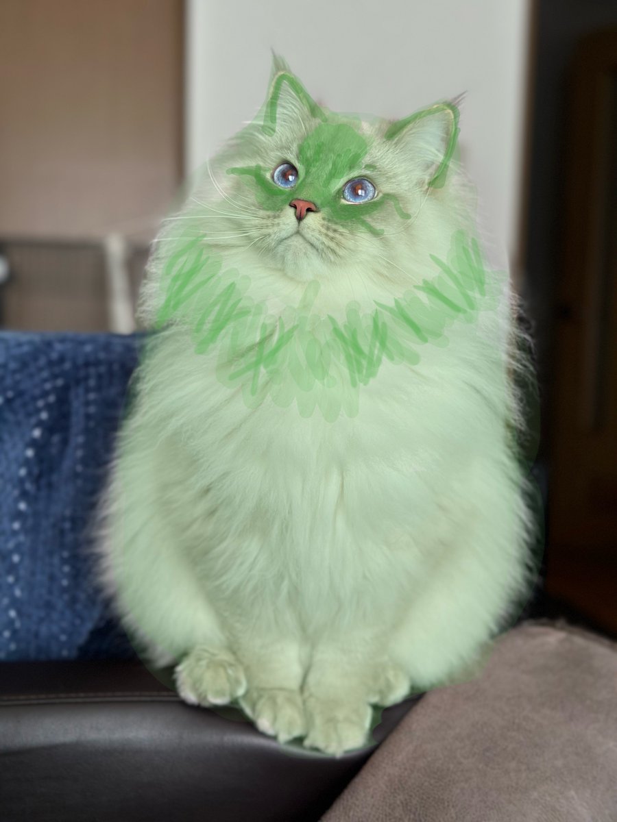 本日よりリアルニャオハとして活動することになったいれぶんです