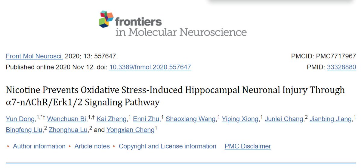 Neuroprotection / anti-excitotoxic:
 
Nicotine exerts neuroprotective effects through reducing glutamate excitotoxicity in several regions of the brain, including the hippocampus.
 
This may help to explain positive neuropsychiatric benefits in conditions such as schizophrenia,…