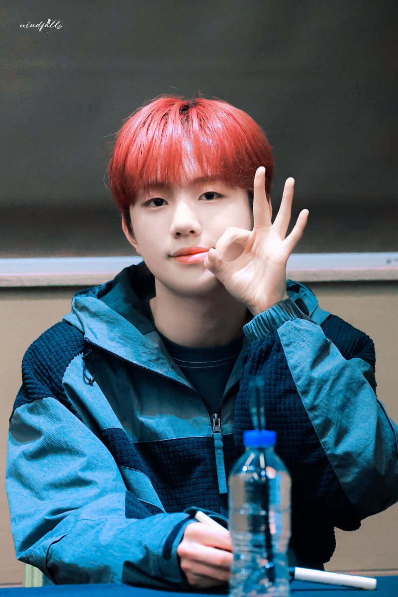 WINDFALL_JiHoo🥽 tweet media