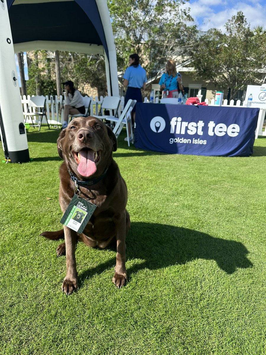 EthanJones404's tweet image. 7 years with my best girl! Forever to go! 🎂🥳#birthdaygirl #turfdogs #dogsofturf