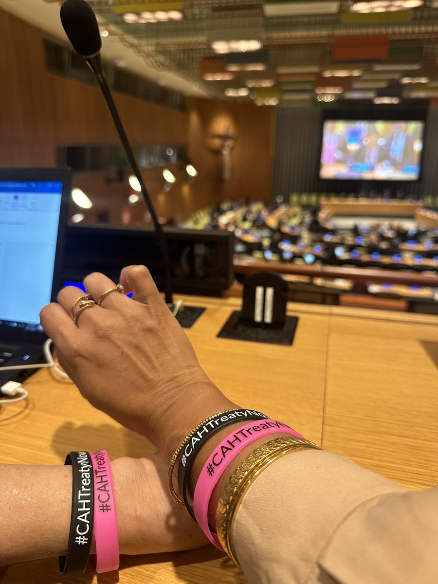 🚨TODAY: UNGA 6th Comm 2nd resumed session on a potential draft crimes against humanity treaty begins. Looking for states to commit to moving forward on a gender-competent treaty, including codification of gender apartheid. Follow here: webtv.un.org/en/asset/k1n/k… #CaHTreatyNow
