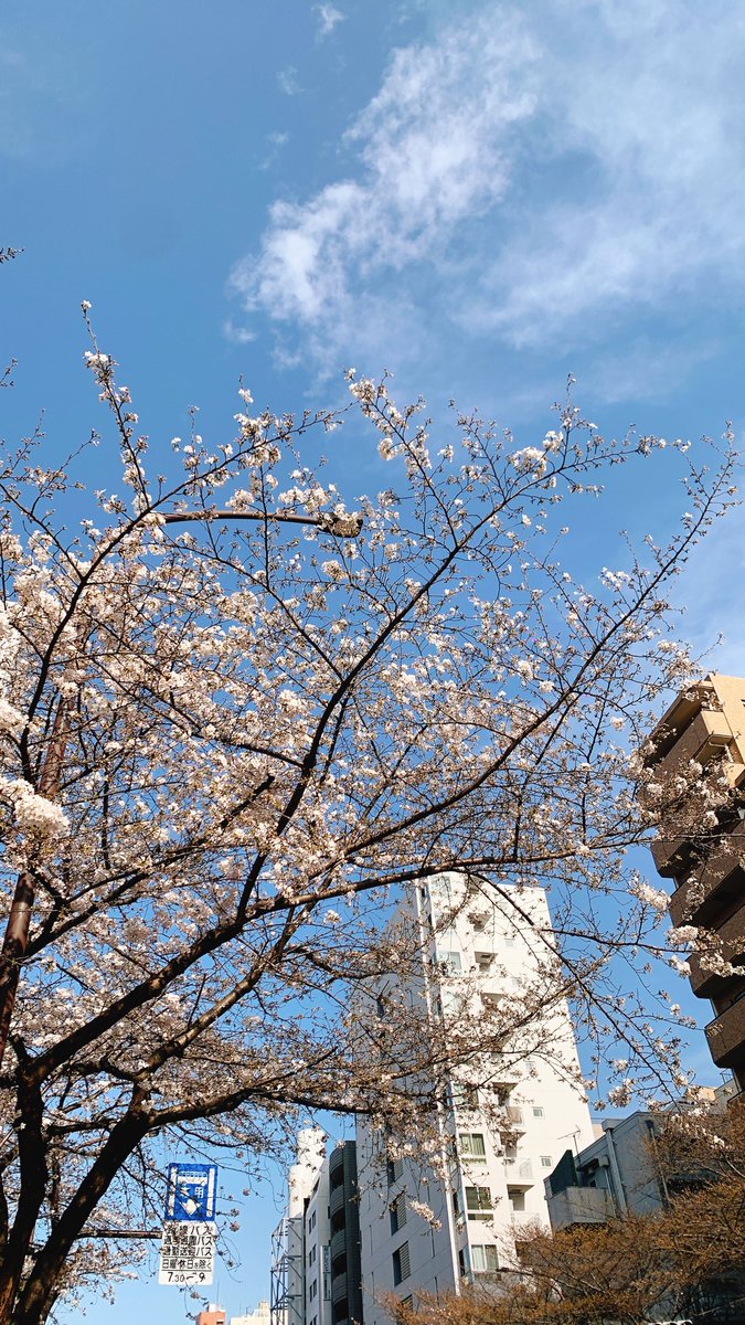 TINA ROSY a.k.a.てぃーちゃん tweet media