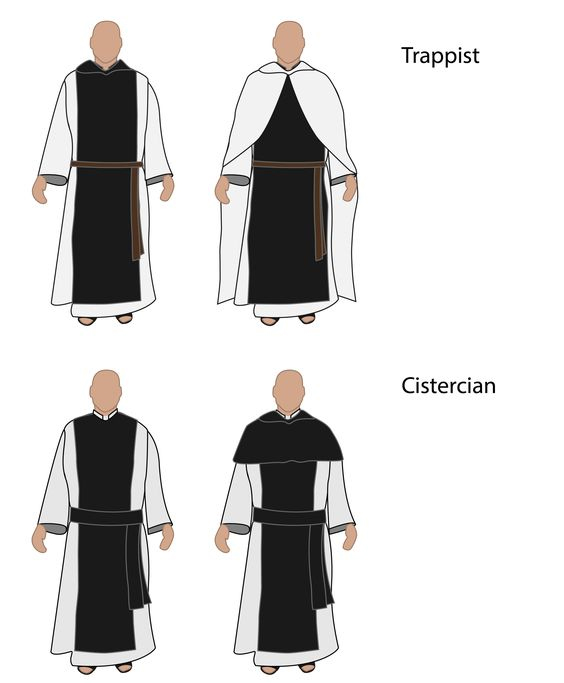 Nao Casanova tweet media