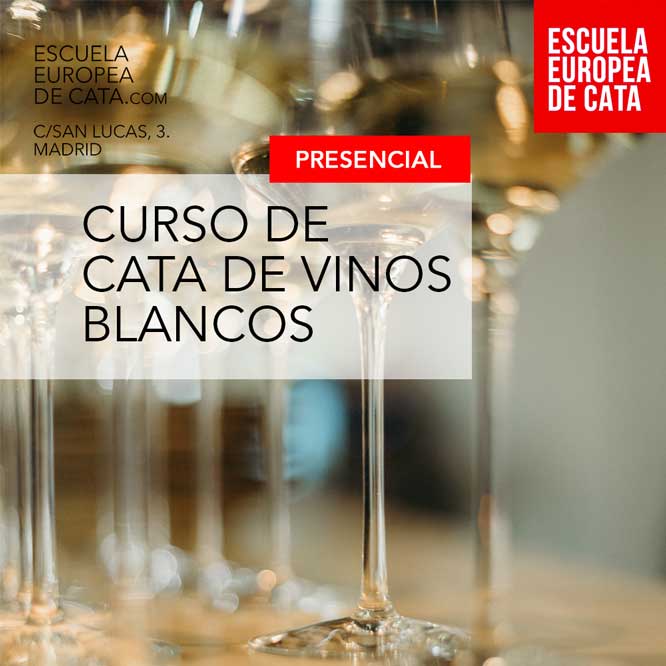 Cata de #Vinos Blancos Nivel 1 Presencial. 5 de abril de 17 a 20 h.: escuelaeuropeadecata.com/producto/nivel…
