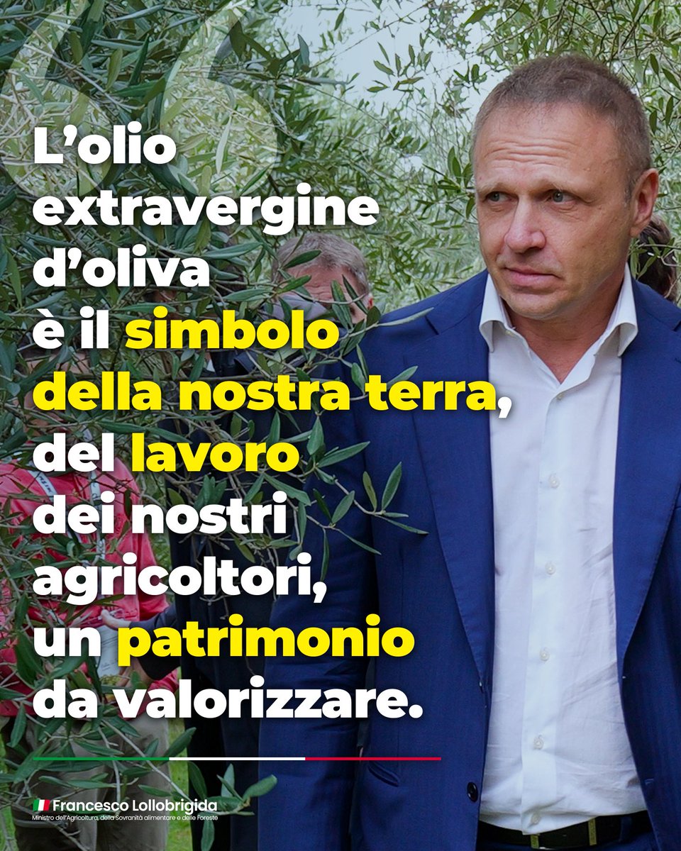 Con le sue 42 denominazioni Dop e 12 Igp, l'olio EVO non solo incarna il sapore unico delle diverse regioni italiane, ma rappresenta anche la nostra cultura e la nostra storia. Non possiamo che essere fieri di promuovere e valorizzare questo autentico tesoro italiano!