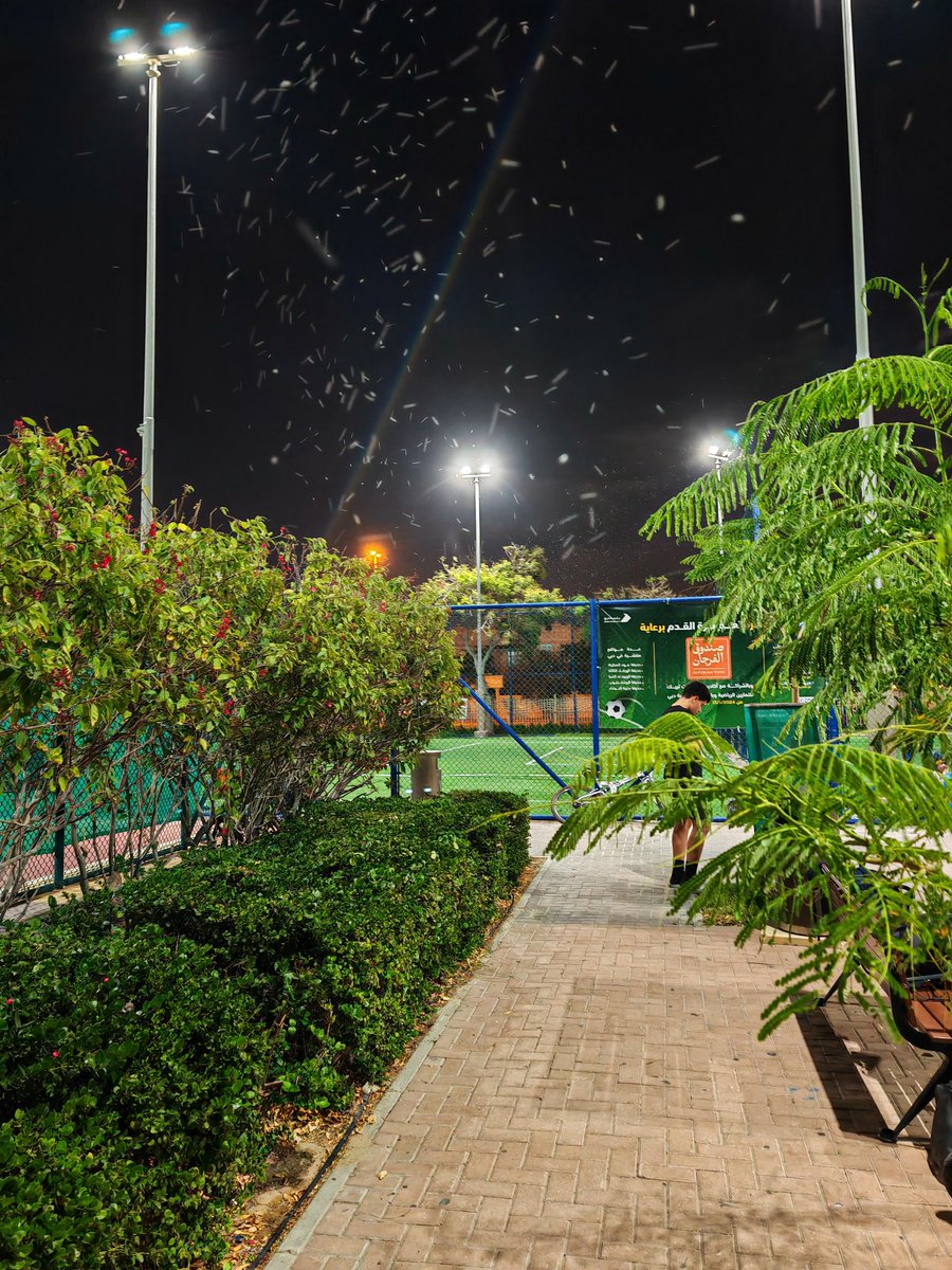 AMMARMALLAL's tweet photo. @DMunicipality
@DawoudAlHajri
Despite reports on March 8 &amp; follow-up on March 14 about mosquitoes &amp; ticks at Al Barsha-1 Pond Park, the issue persists &amp; worsens. Urgent action is needed to ensure community health &amp; enjoyment. Looking forward to swift measures. https://t.co/wKV2fYGPOC