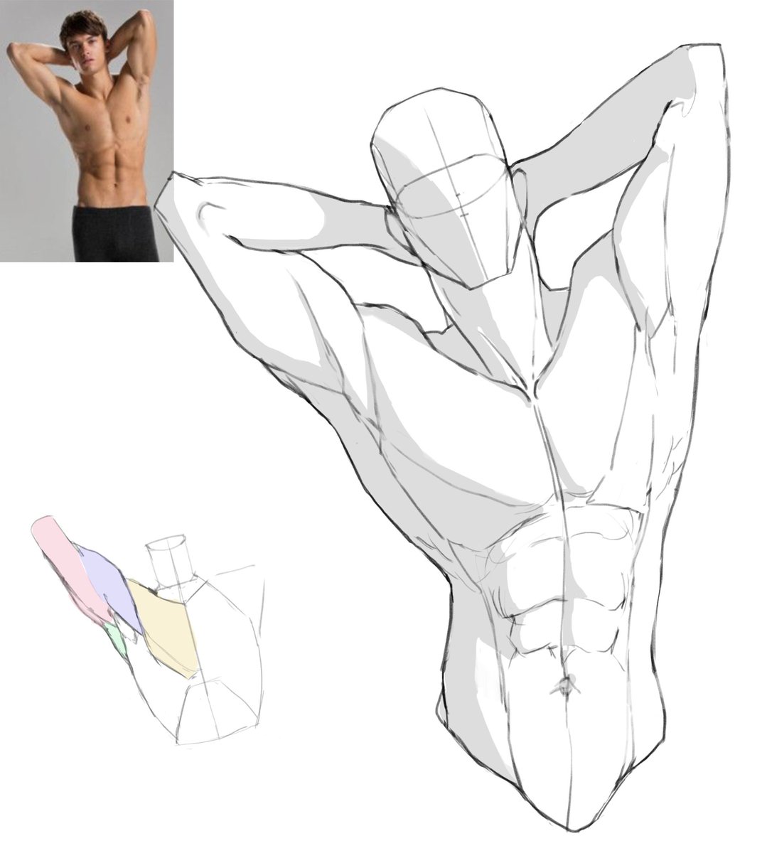 #shading #drawing #sketches #figuredrawing #humananatomy #muscles #doodle #art