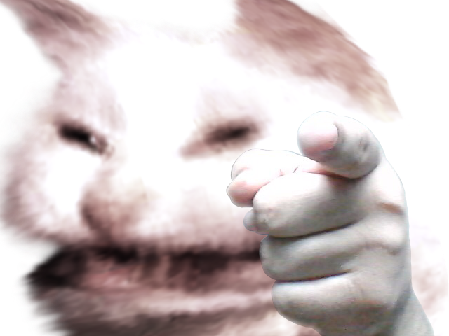 Yo jeets you need to fking learn or you ngmi mark my words.
the lord gonna rekts you and rekt you hard!
$kot $kot $kot