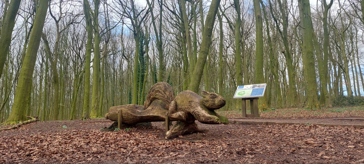 Reminders this week 👉Check when your recycling & waste will be emptied as revised collections run until Saturday 6 April - bit.ly/sbcaboutmyarea 👉Open days to find out about tree removal and maintenance at #Stafford Castle on Thursday and Friday. More bit.ly/sbccastletrees