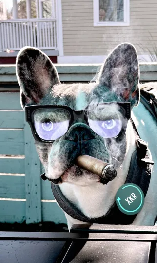 NFT ₳RT ₿RΞWΞRY tweet media