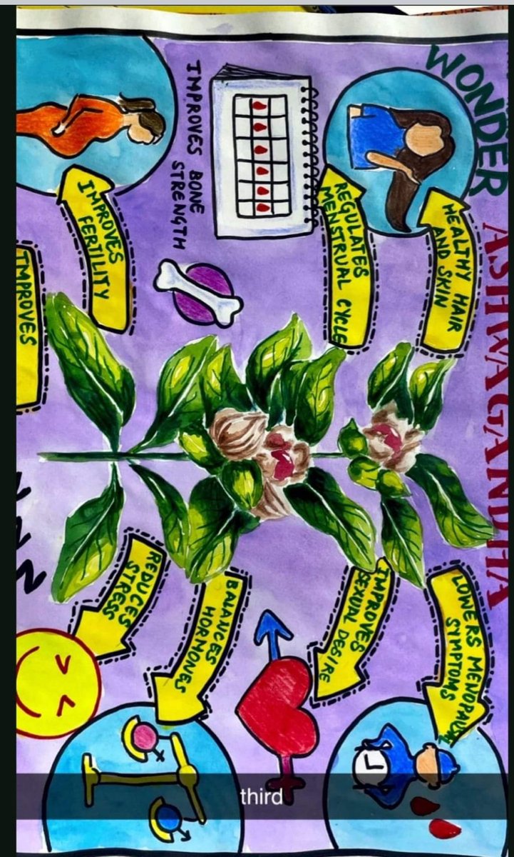 doayush_delhi's tweet photo. Congratulations to the AYUSH students who participated on 20th March
In 
"Poster Designing Competition"
On Ashwagandha- A Health promoter”.

First Winner-      Supriya Baital
Second Winner-Yatika Kumari.
Third Prize- Sejal Singh  and Apao Vinii
NHMC. https://t.co/BVwCDHxxNW