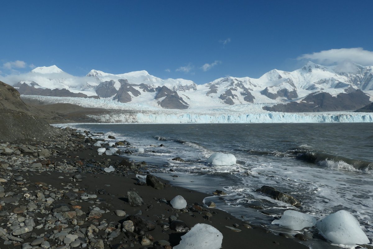 Melting glaciers provide new ground for #invasivespecies - a case study on the island of South Georgia. 🌱🪲 🔗 Read more on the @Pensoft blog: blog.pensoft.net/2024/04/01/mel… #conservation #climatechange