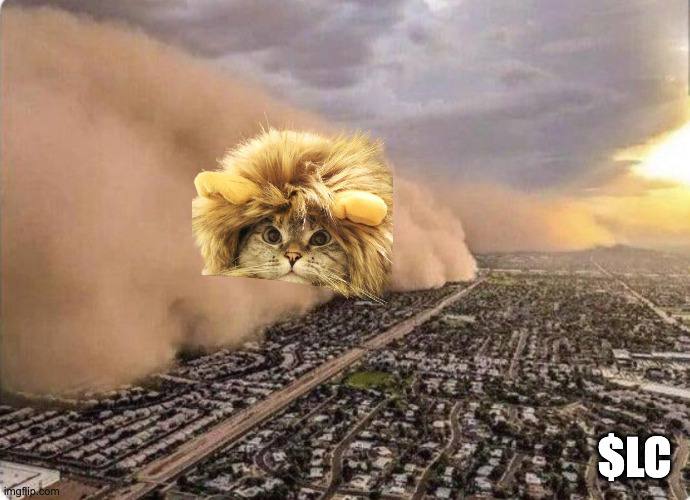 there's a storm coming 👀