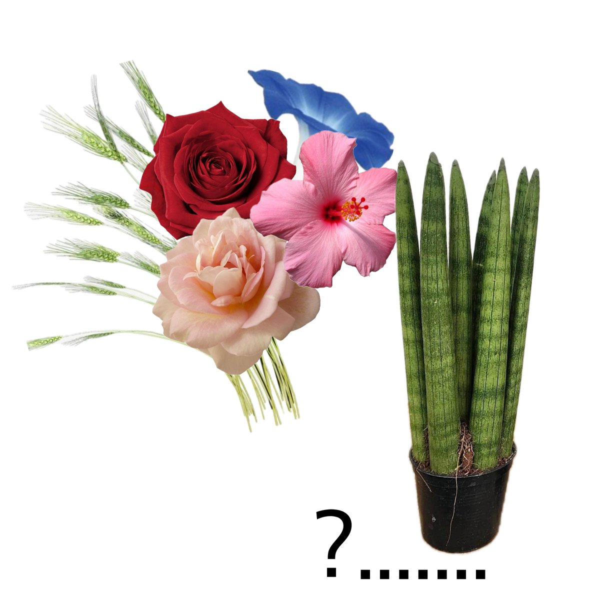 꽃다발만들어주고싶다고