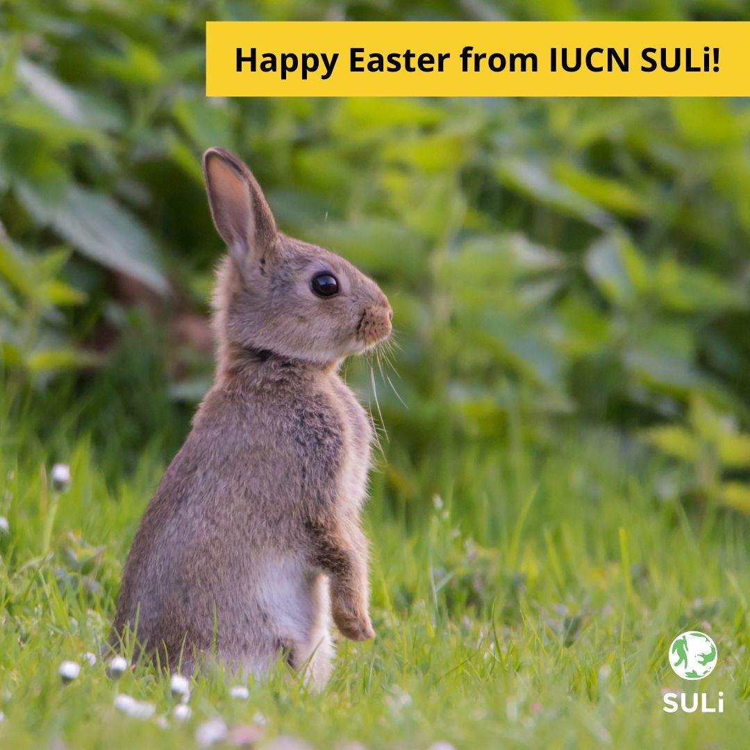 IUCN SULi (@IUCNSULi) on Twitter photo 2024-04-01 11:55:31