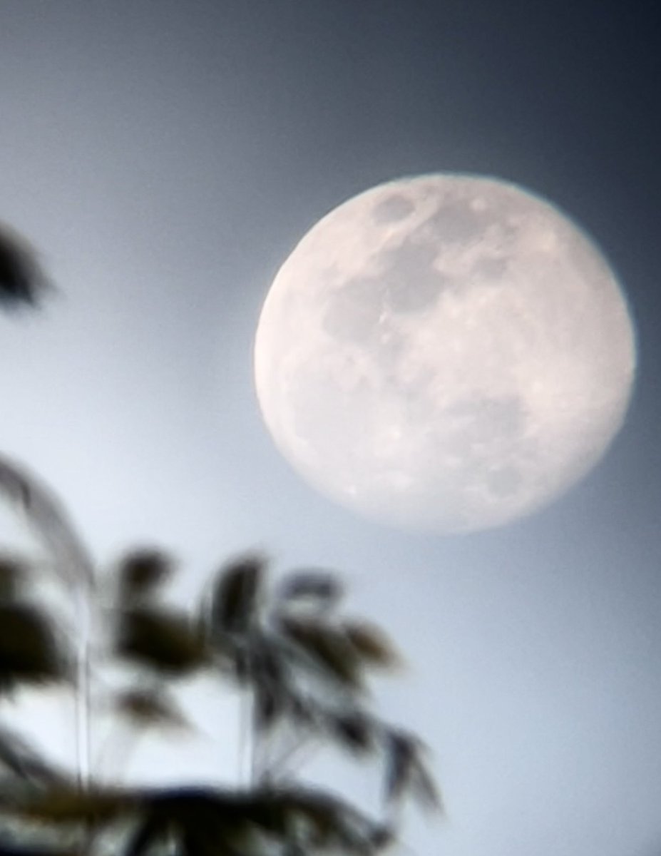 From my “Waxing Gibbous Moon🌔 Spring🌸 Collection”…😉

Have a safe positive start to a new ahead. 😊

#SpringSeason🌸 #DailyWalk #Nature #MyMoonSnap