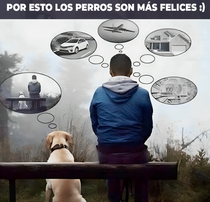 Marcos-FitRebelde tweet media