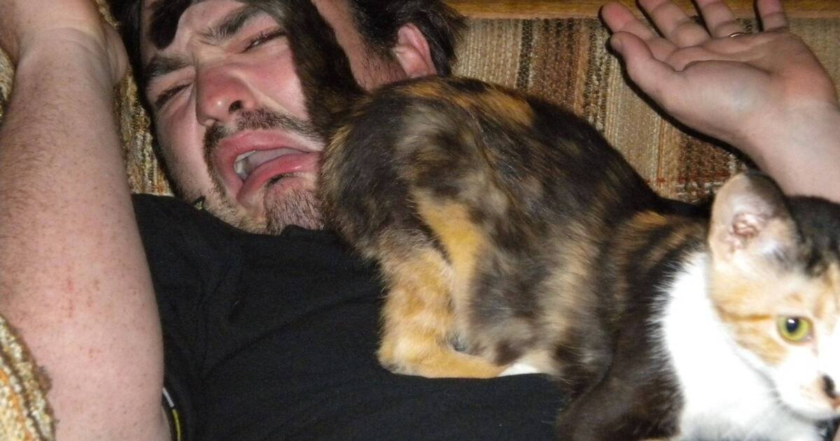 curiositymint's tweet photo. Cats put their butt in your face because it's usually a sign of trust and affection, not because they want you to groom their genitals. It's also a way for cats to say hello, similar to how other cats sniff each other's butts. Cats only do this with their special people. https://t.co/iGQh33Ec0y