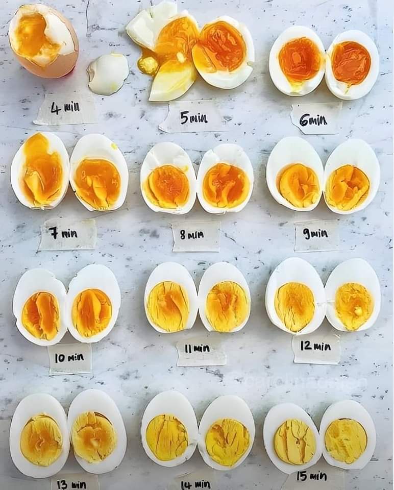 PontistGirl's tweet image. The media on my phone goes from fitness to eggs! #randompics