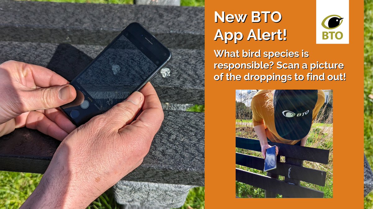 Exciting news!📢Scientists at BTO have created an app nicknamed ‘The Poopline’ that will allow the user to identify the species bird droppings are from.🔎🐦Just scan a picture on the app & the bird responsible will be revealed. Discover more 👉 bit.ly/ThePoopline