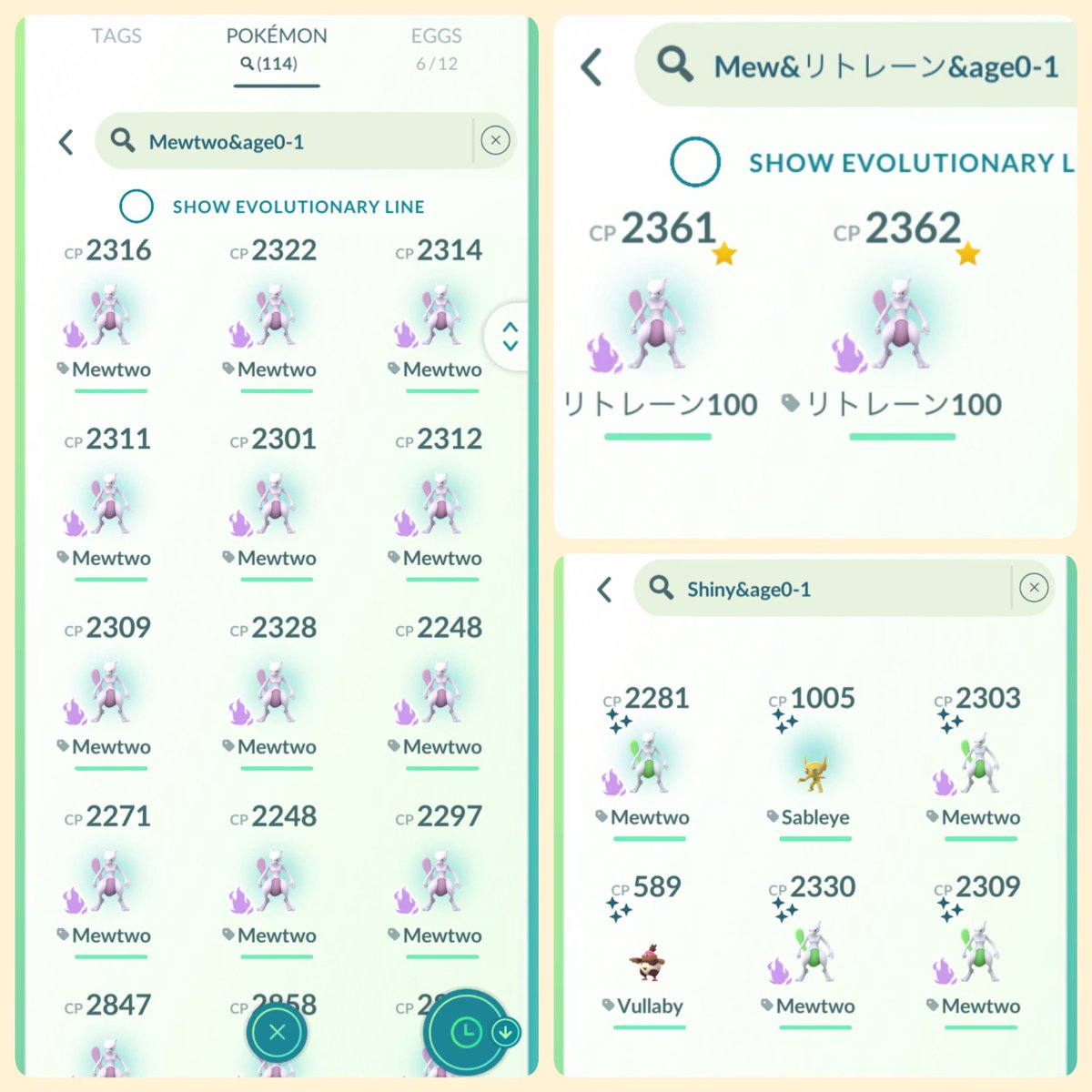 xRioTV's tweet image. Grinded 114 Shadow Mewtwo Raids!
We sure walked a lot 🚶💀
Two Purified Hundos 💯
4 Shinies ✨✨
楽しい時間ありがとうございました！
@TAKE_0794 
@CoolPortraitGil 
@pasocongo 
@WANDA00443785 
@GO37343474
#PokemonGO #ポケモンGO #ShadowMewtwo